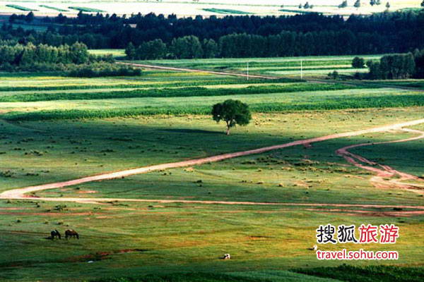丰宁坝上  离北京最近的坝上草原