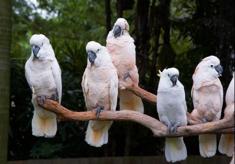 疯玩到底 亚运广州几大周边撒欢游推荐