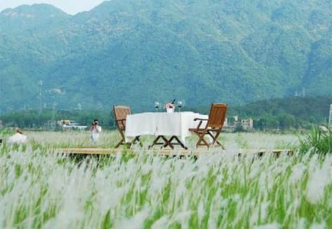 疯玩到底 亚运广州几大周边撒欢游推荐