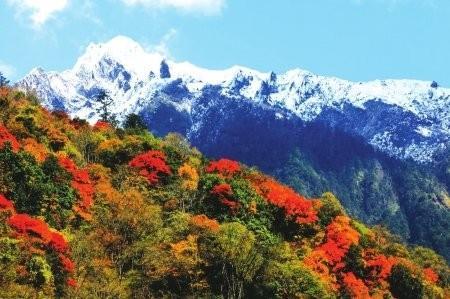 “枫”景四川独好 覆盖全川自驾游线路(4)