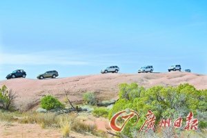 多练习开好车 平时练几招关键时刻能救命