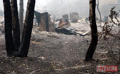 莫斯科附近一处海军基地遭遇严重森林大火