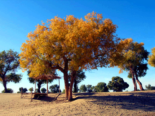 十一旅行 七色自驾目的地