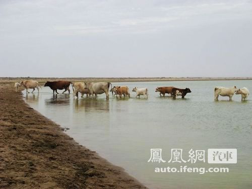 自驾查干淖尔生态游 体验“生态和平亚洲”之旅
